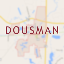 Dousman Chimney Services