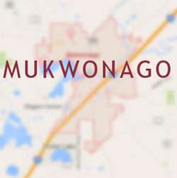 Mukwonago Chimney Services: Inspection, Cleaning, Inspection, Rebuilding and Repair, and Dryer Vent Cleaning
