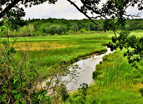 Mukwonago River in Waukesha County
