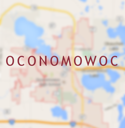 Oconomowoc Chimney Cleaning, Inspection, Repair and Rebuilding
