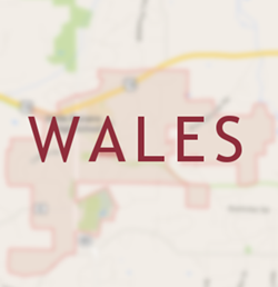 Wales Chimney Services